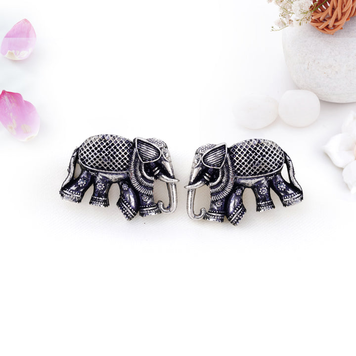 12 Oxidized Earrings Gift Set with Bonus Organizer Box