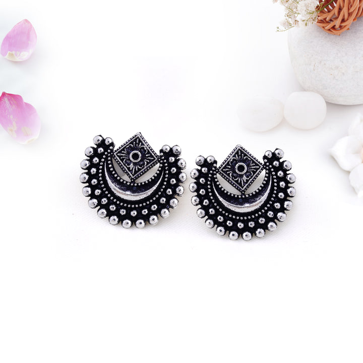 12 Oxidized Earrings Gift Set with Bonus Organizer Box