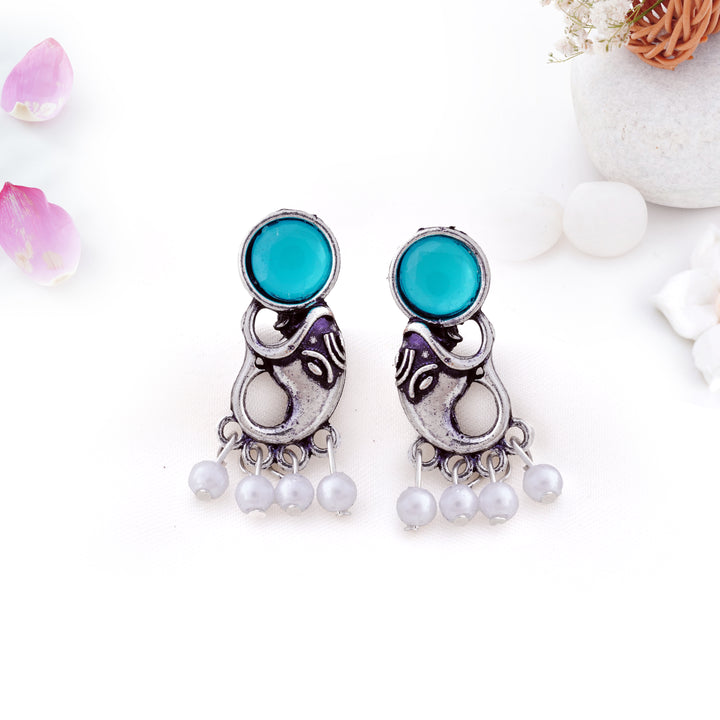 12 Oxidized Earrings Gift Set with Bonus Organizer Box